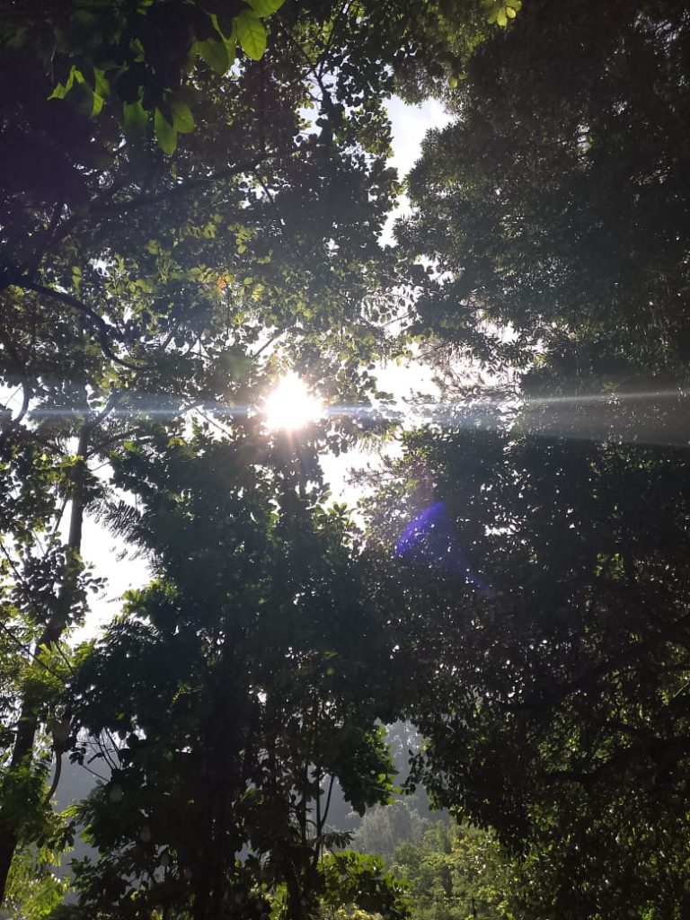 IMG-20250427-WA0063